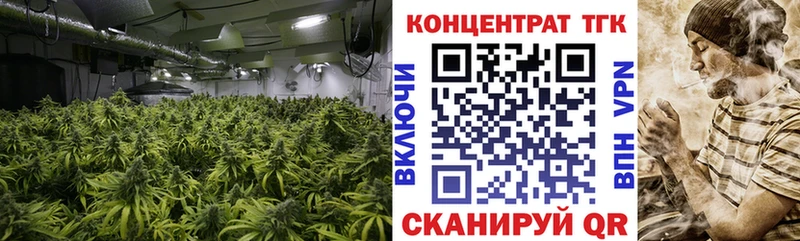 купить  сайты  Ленинск  ТГК Wax 